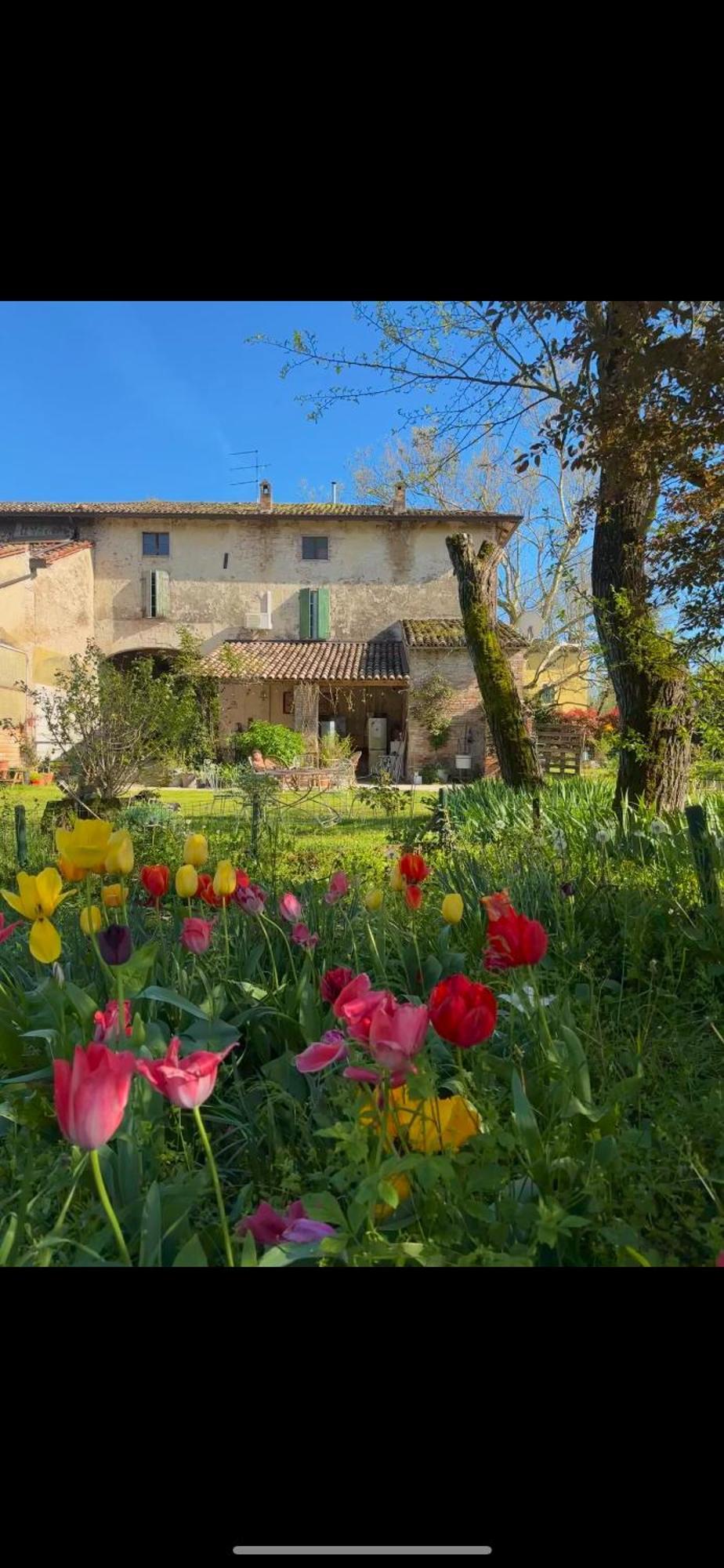 B&B Ostria Vento Medesano Exterior photo
